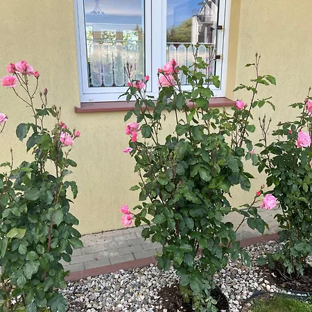 Апартаменты A&r *