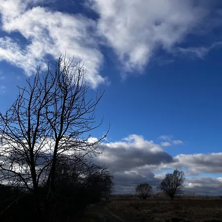 Апартаменты A&r Рева