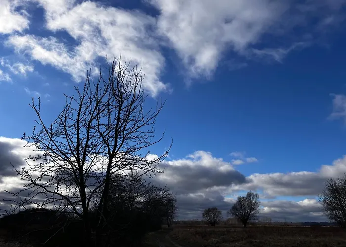 Апартаменты A&r Рева